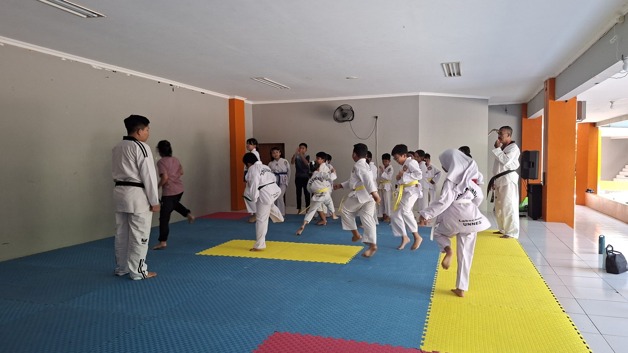 Taekwondo